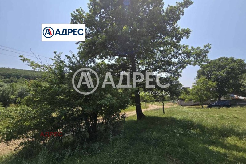 Na sprzedaż  Działka region Warny , Junec , 1000 mkw | 61105384