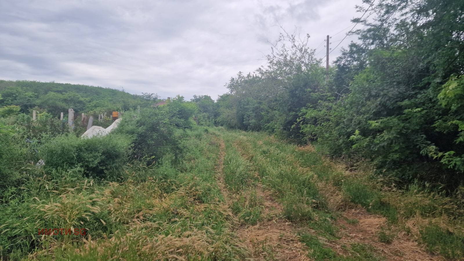 Продава ПАРЦЕЛ, с. Старо село, област Силистра, снимка 12 - Парцели - 54759577