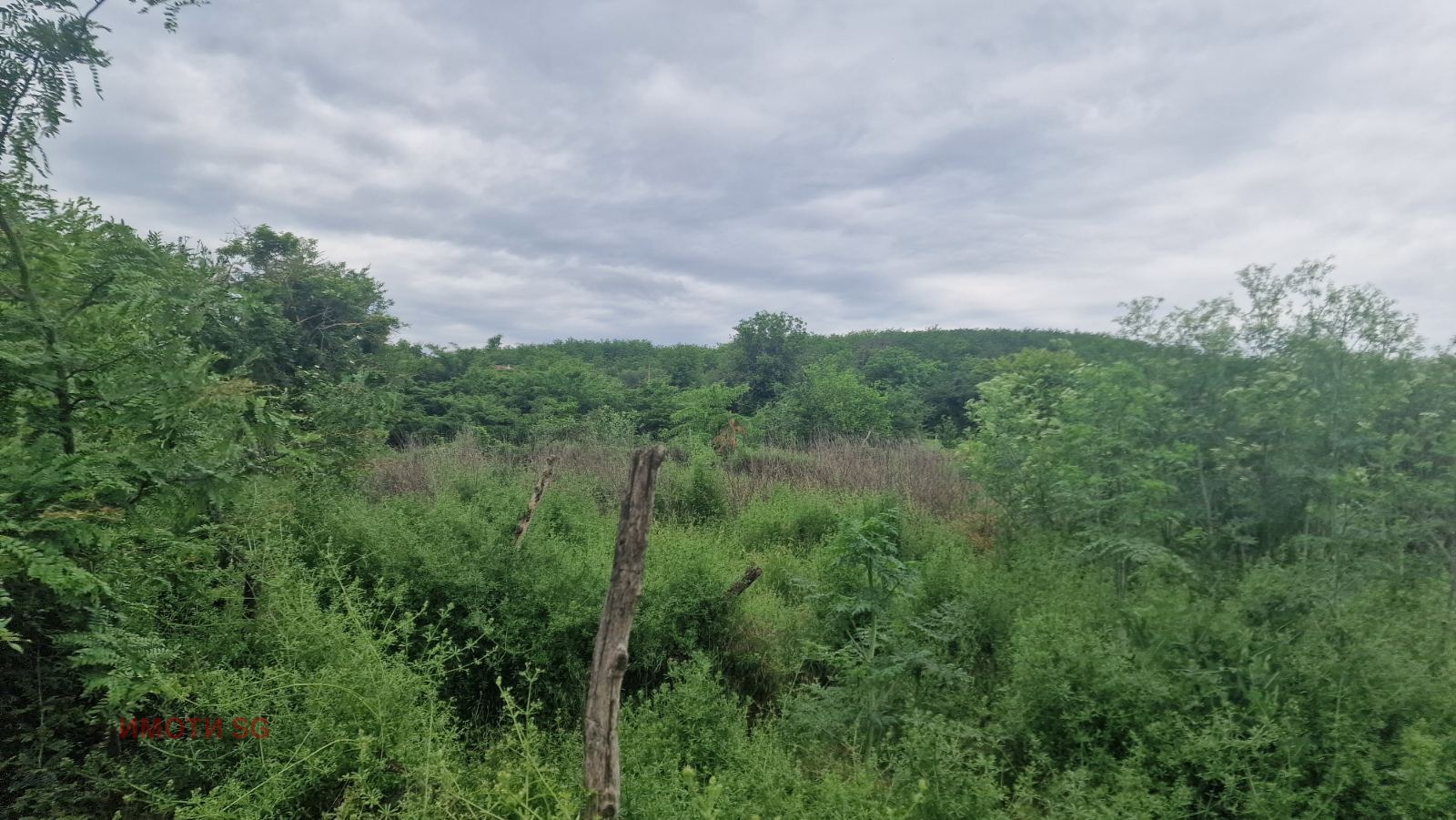 Продава ПАРЦЕЛ, с. Старо село, област Силистра, снимка 10 - Парцели - 54759577
