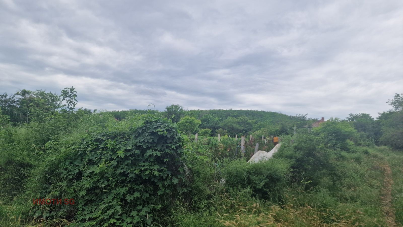 Продава ПАРЦЕЛ, с. Старо село, област Силистра, снимка 9 - Парцели - 54759577