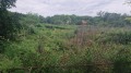 Продава ПАРЦЕЛ, с. Старо село, област Силистра, снимка 5