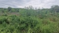 Продава ПАРЦЕЛ, с. Старо село, област Силистра, снимка 8