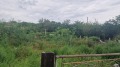 Продава ПАРЦЕЛ, с. Старо село, област Силистра, снимка 11