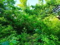 Продава ПАРЦЕЛ, град Враца, Студентски град • 10000 лв. • 15676986 — Holmes.bg