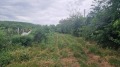 Продава  Парцел област Силистра , с. Старо село , 1344 кв.м | 26995994 - изображение [12]