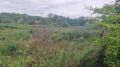Продава  Парцел област Силистра , с. Старо село , 1344 кв.м | 26995994 - изображение [6]