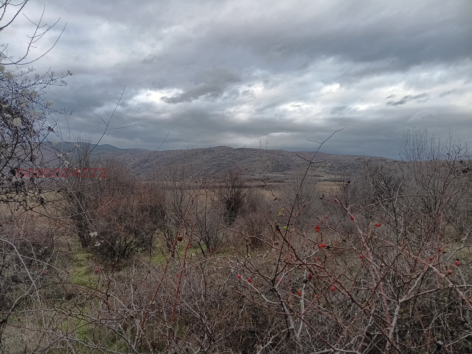 ������� ���������� ���� | Imot.bg � ����������� 3