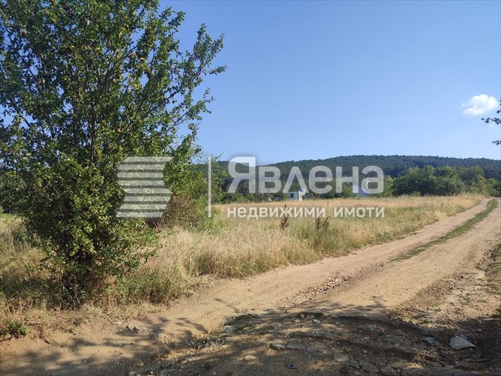 Продава ПАРЦЕЛ, гр. София, с. Лозен