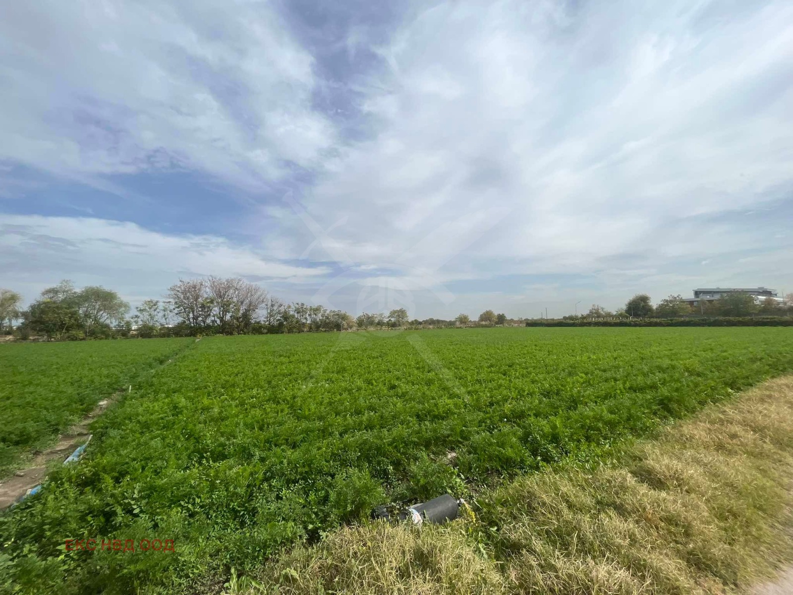 Продава ПАРЦЕЛ, с. Царацово, област Пловдив, снимка 3 - Парцели - 53700992