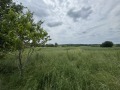 Продава ПАРЦЕЛ, с. Лесово, област Ямбол, снимка 6
