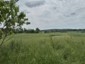 Продава ПАРЦЕЛ, с. Лесово, област Ямбол, снимка 5