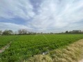 Продава ПАРЦЕЛ, област Пловдив, с. Царацово • 180000 € • 91556784 — Holmes.bg