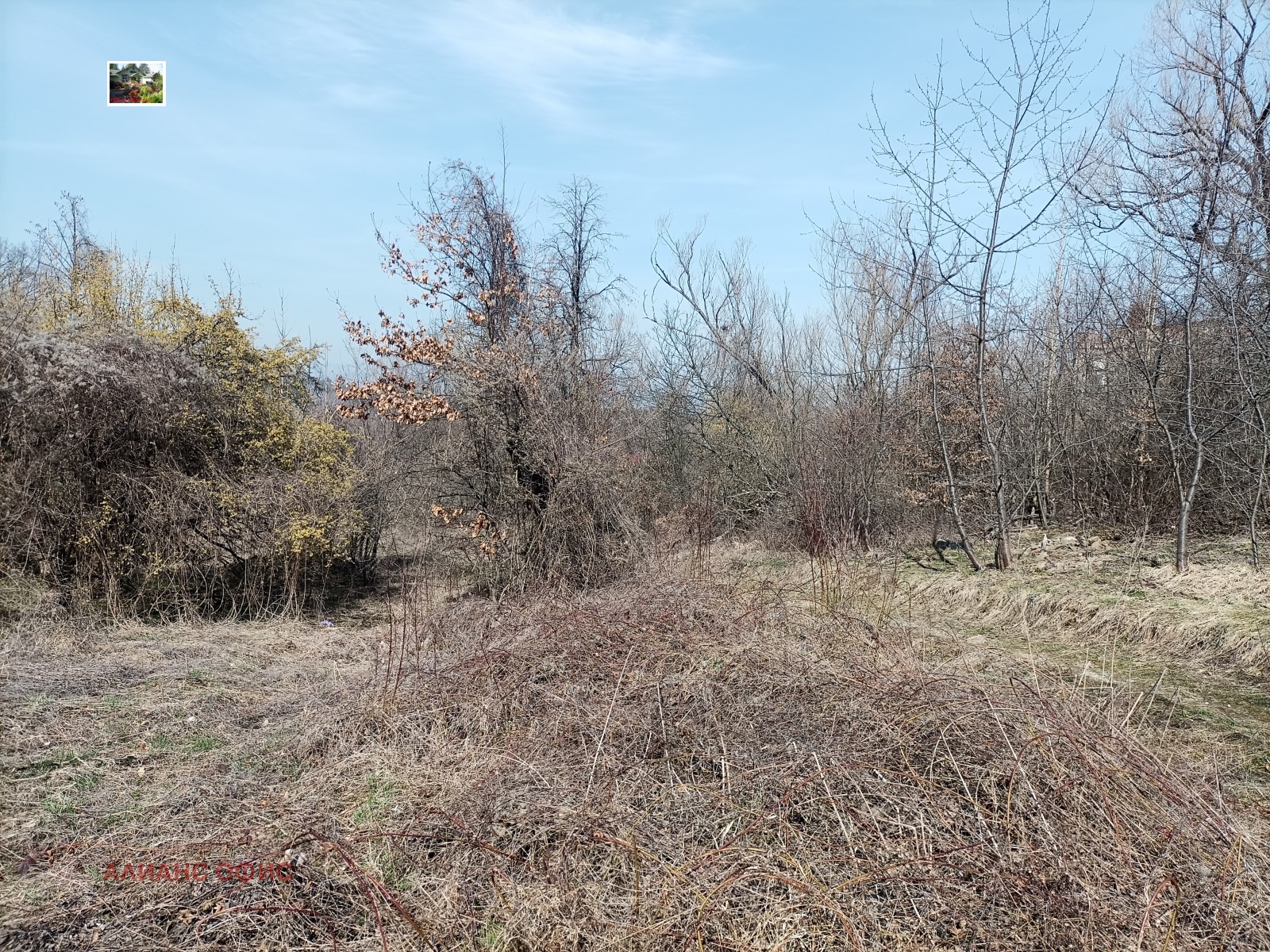 ������� ������ | Imot.bg � ����������� 4