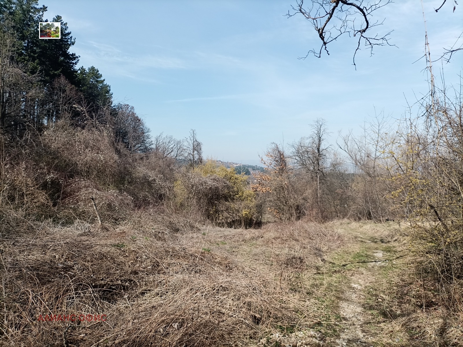 ������� ������ | Imot.bg � ����������� 8