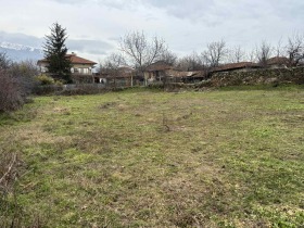 ������ ������� ������