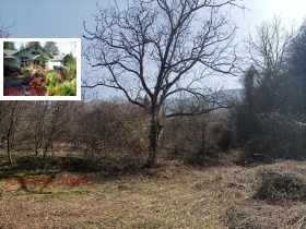 ������� ������ | Imot.bg � ����� ������ 5