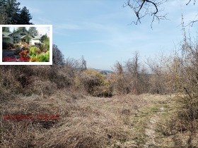 ������� ������ | Imot.bg � ����� ������ 8