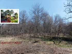 ������� ������ | Imot.bg � ����� ������ 6
