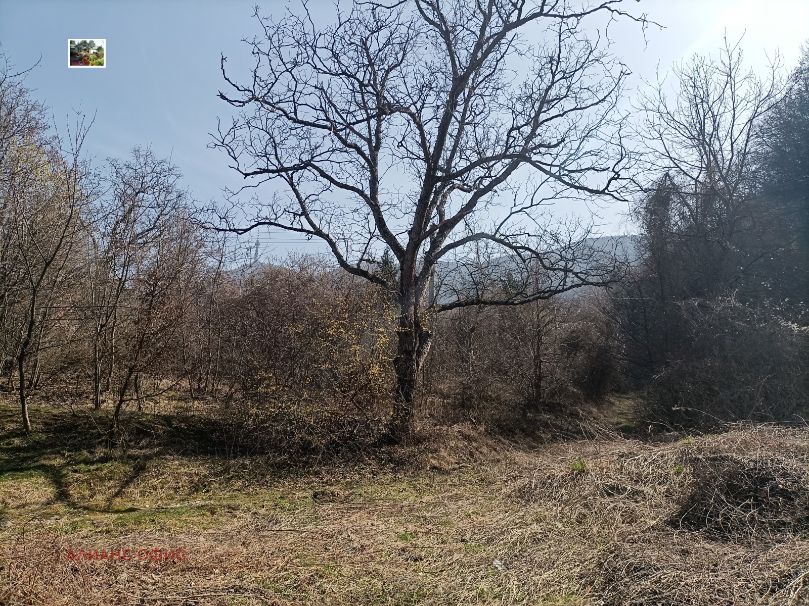 Продава ПАРЦЕЛ, гр. София, Княжево, снимка 5 - Парцели - 54378277