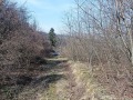 Продава ПАРЦЕЛ, гр. София, Княжево, снимка 10