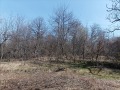 Продава ПАРЦЕЛ, гр. София, Княжево, снимка 6