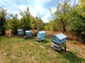 Продава КЪЩА, област Габрово, с. Черневци • 110000 лв. / 56242.11 € • 39329200 15