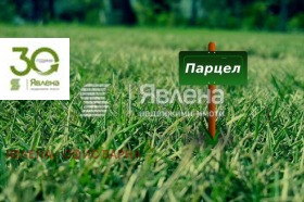 ����� ������� ������,���� �����, ������