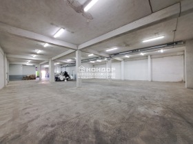 ����� ������� ������������� ������,���� �������, ������