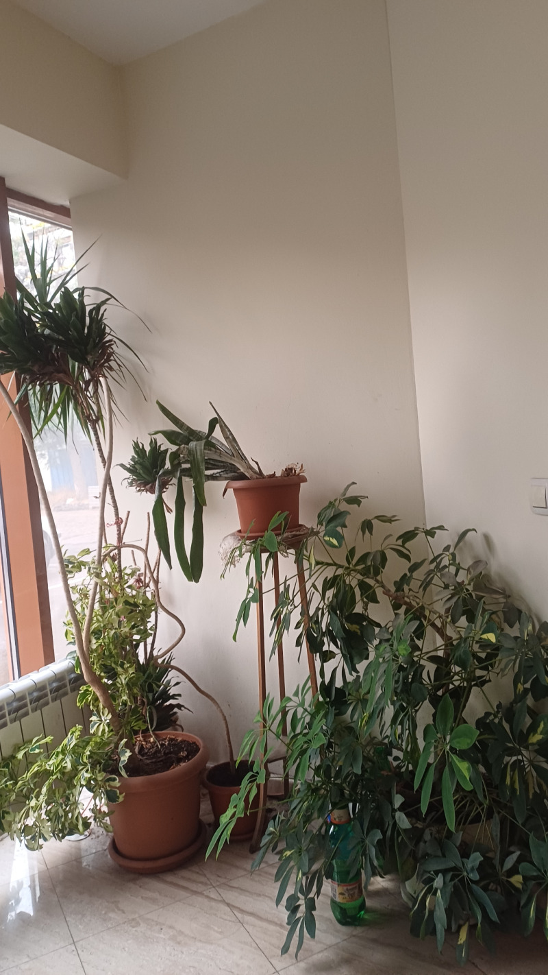 En venta  Oficina Sofia , Poduyane , 246 metros cuadrados | 75233750 - imagen [16]