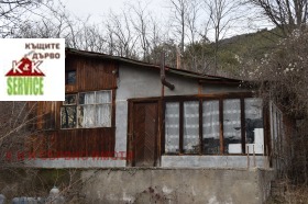 ����� ������� ����,��. �����, ������ �������