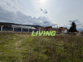 ����� ������� ������,�. ����������, ������ �������