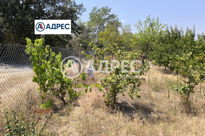 Na prodej  Spiknutí Varna , Zvezdica , 600 m2 | 96370646 - obraz [2]