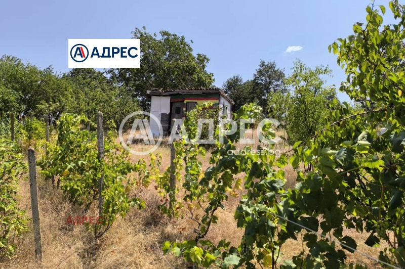 Na prodej  Spiknutí Varna , Zvezdica , 600 m2 | 96370646 - obraz [5]