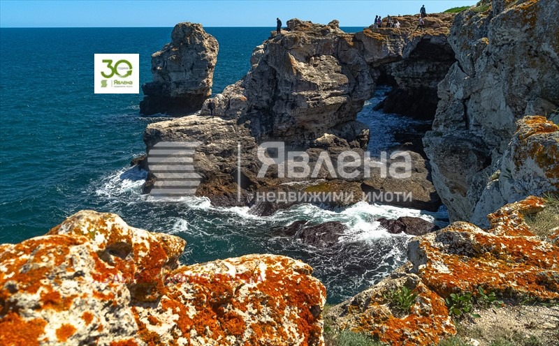 Продава ПАРЦЕЛ, с. Тюленово, област Добрич, снимка 4 - Парцели - 53806591