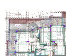 ����� ������� 4-�����,���� �����, ���������� ����