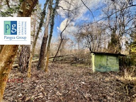 ����� ������� ������,���� �����, ��. �����>