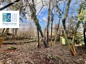 ����� ������� ������,���� �����, ��. �����