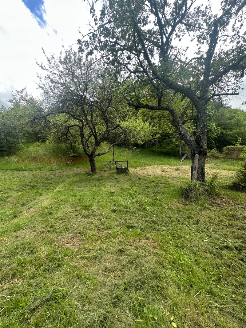 Продава ВИЛА, с. Борущица, област Стара Загора, снимка 8 - Вили - 52817565