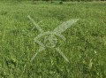 Продава ПАРЦЕЛ, област Пловдив, с. Градина • 9000 € / 17602.47 лв. • 64351317 1