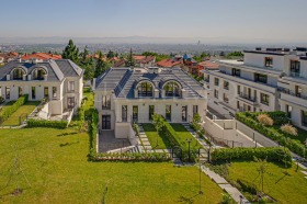 ����� ������� ����,���� �����, ����������