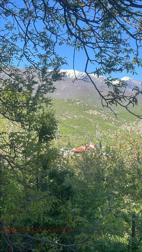 ����� ������� ����,��. ����, ������ ���������