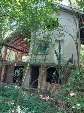 ������ ������� ����