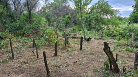 ������� ���� | Imot.bg � ����� ������ 4
