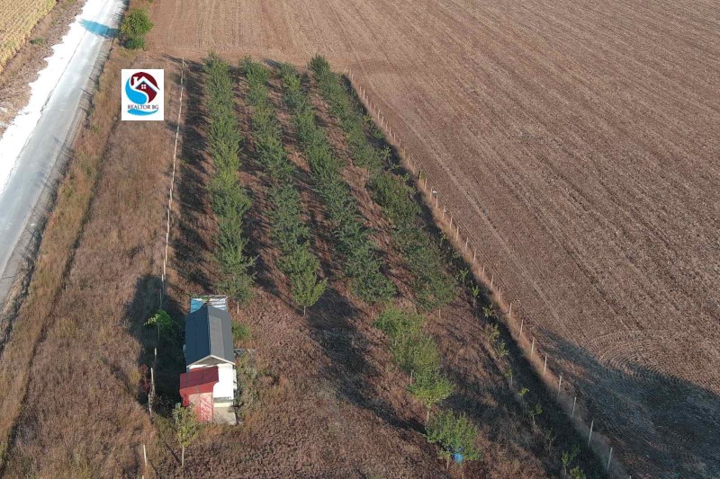 À venda  Terra região Varna , Orechak , 3 tudo bem | 90417996