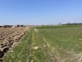 Продава ПАРЦЕЛ, с. Марково, област Пловдив, снимка 3