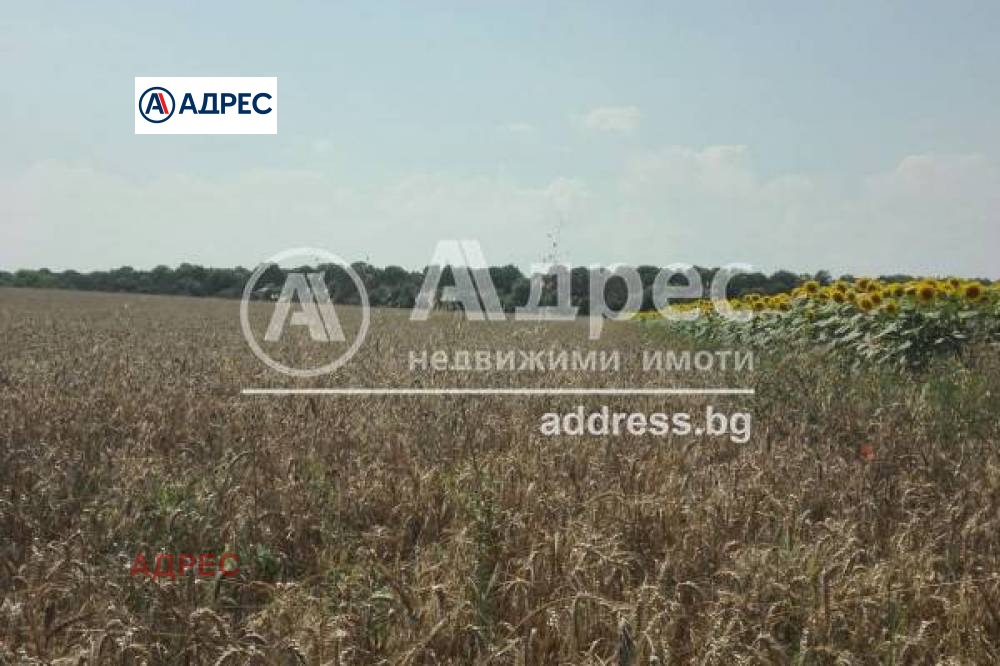 ������� ������ | Imot.bg � ����������� 5