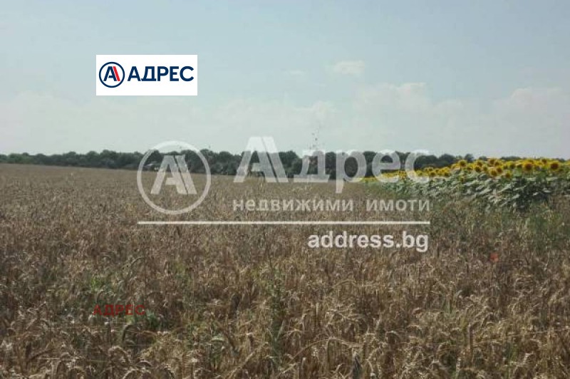 In vendita  Complotto regione Dobrič , Shabla , 5000 mq | 82839169 - Immagine [5]