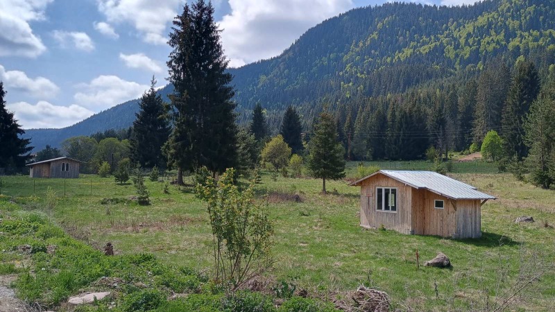 Zu verkaufen  Handlung region Pasardschik , Sarniza , 1137 qm | 70197425 - Bild [2]