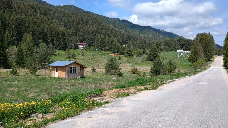 Zu verkaufen  Handlung region Pasardschik , Sarniza , 1137 qm | 70197425 - Bild [4]