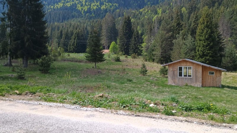 Zu verkaufen  Handlung region Pasardschik , Sarniza , 1137 qm | 70197425 - Bild [3]